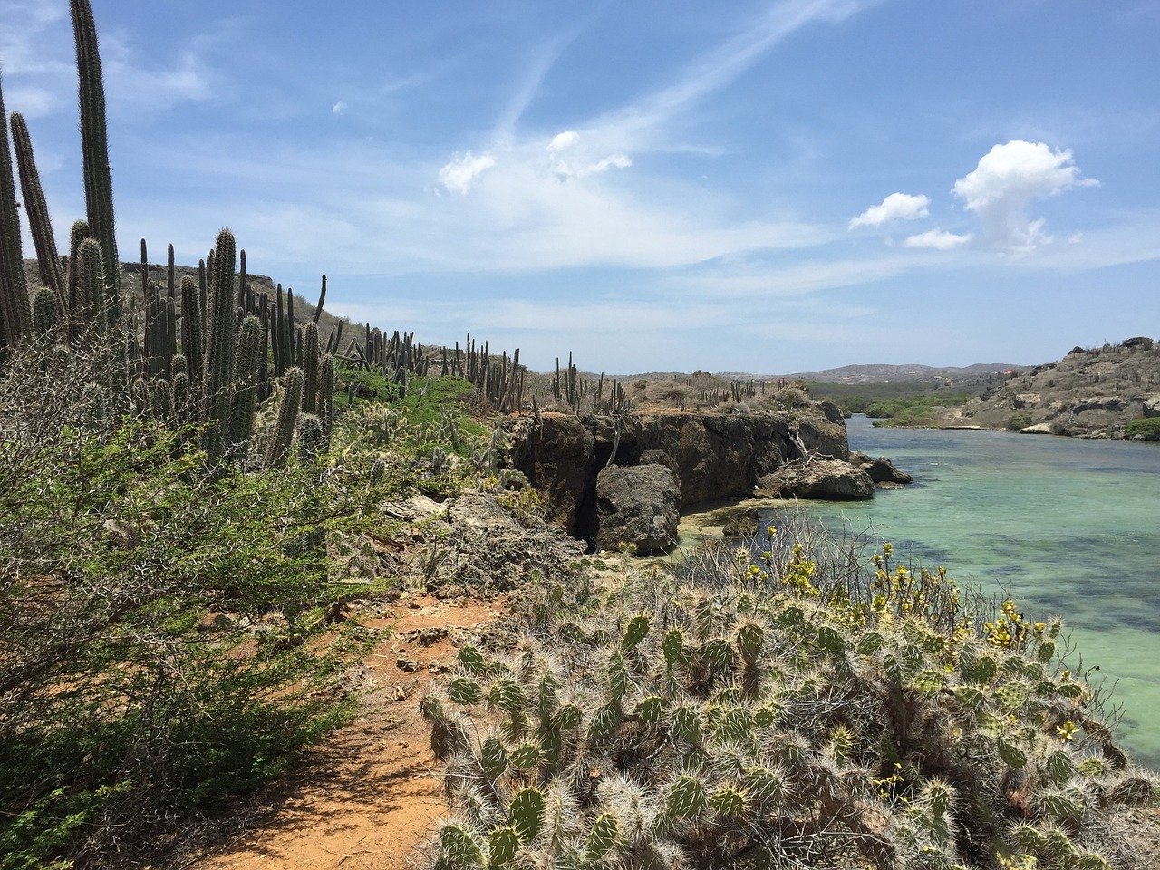 Cruising to New Heights: Exploring St. Christoffel Mountain on Curaçao in a Jeep Wrangler